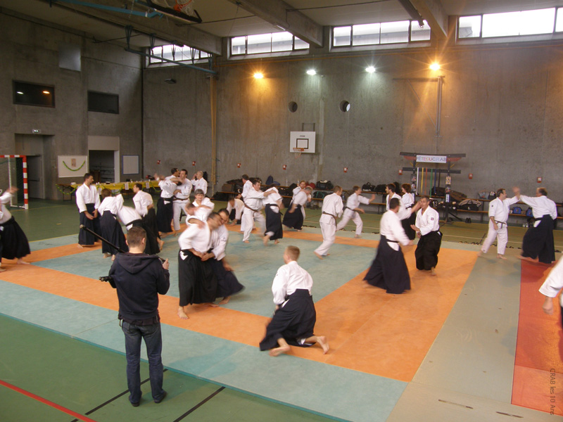 Crab_10ans (16)