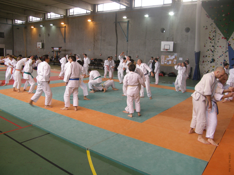 Crab_10ans (33)