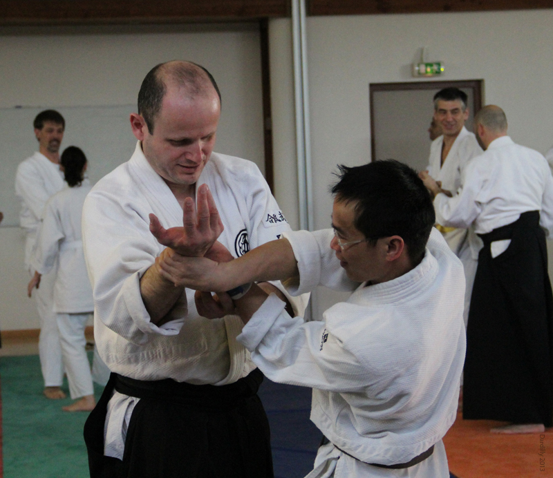 Dardilly_Aikibudo_2013_01 (04)