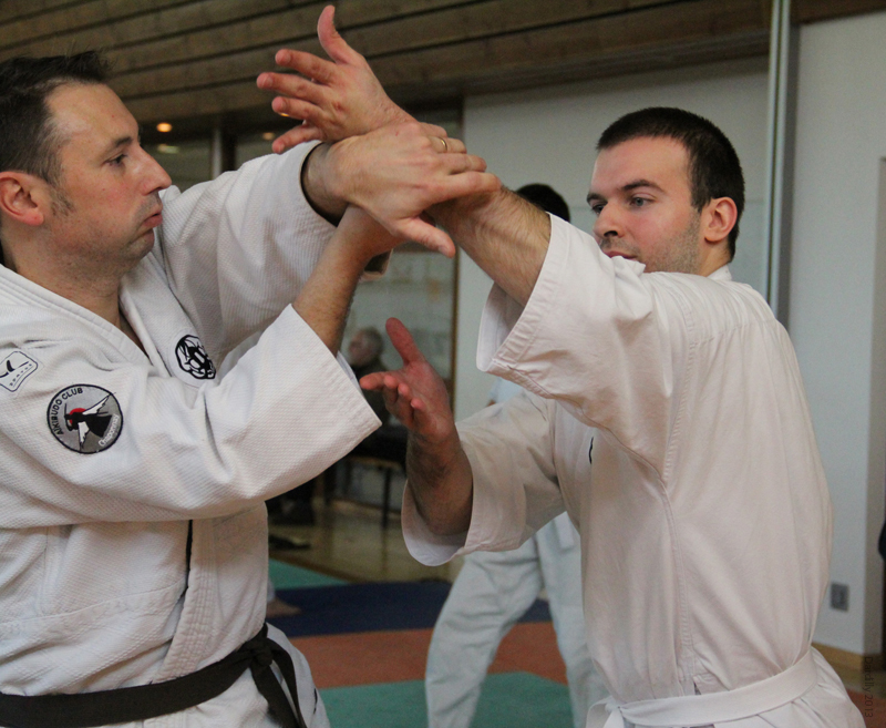 Dardilly_Aikibudo_2013_01 (10)