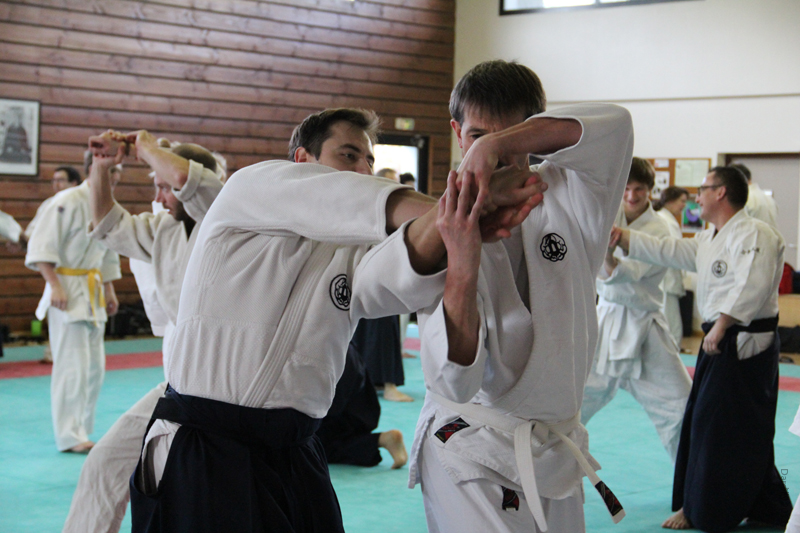 Dardilly_Aikibudo_2013_01 (12)