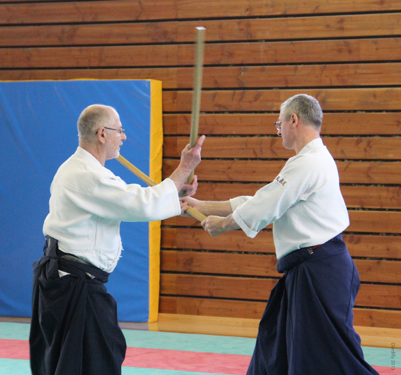 Dardilly_Aikibudo_2013_01 (22)