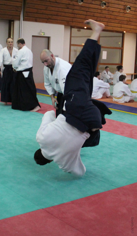 Dardilly_Aikibudo_2013_01 (26)
