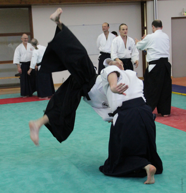Dardilly_Aikibudo_2013_01 (27)