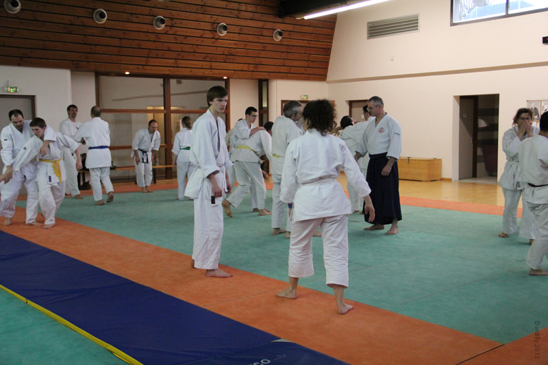 Dardilly_Aikibudo_2013_01 (28)