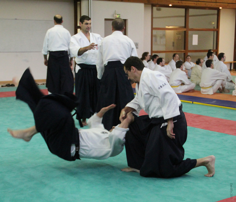 Dardilly_Aikibudo_2013_01 (31)