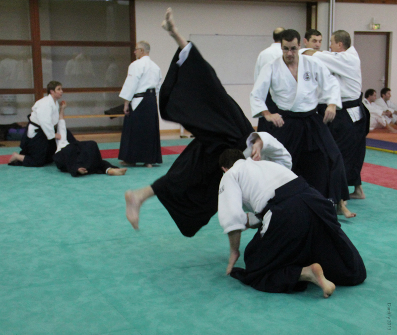 Dardilly_Aikibudo_2013_01 (32)