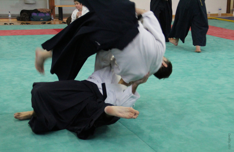 Dardilly_Aikibudo_2013_01 (33)