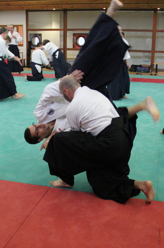 Dardilly_Aikibudo_2013_01 (37)