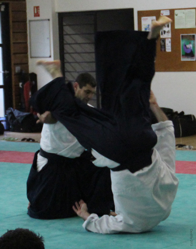 Dardilly_Aikibudo_2013_01 (41)