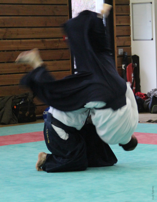 Dardilly_Aikibudo_2013_01 (42)