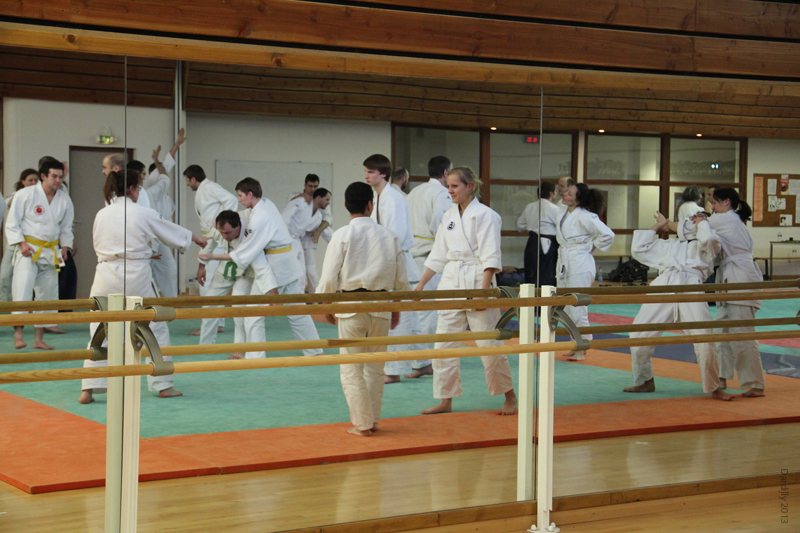 Dardilly_Aikibudo_2013_01 (43)