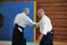 Dardilly_Aikibudo_2013_01 (16)