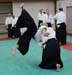 Dardilly_Aikibudo_2013_01 (27)