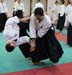 Dardilly_Aikibudo_2013_01 (29)