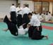Dardilly_Aikibudo_2013_01 (31)