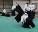 Dardilly_Aikibudo_2013_01 (32)