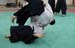 Dardilly_Aikibudo_2013_01 (33)