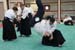 Dardilly_Aikibudo_2013_01 (34)