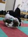 Dardilly_Aikibudo_2013_01 (38)