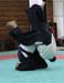 Dardilly_Aikibudo_2013_01 (42)