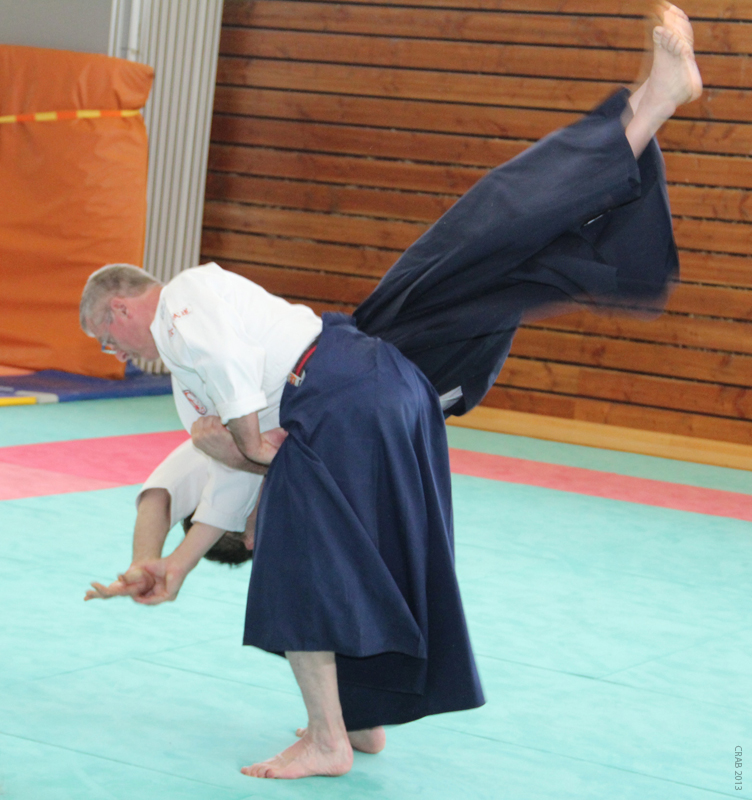 Dardilly_2013_06 (02)