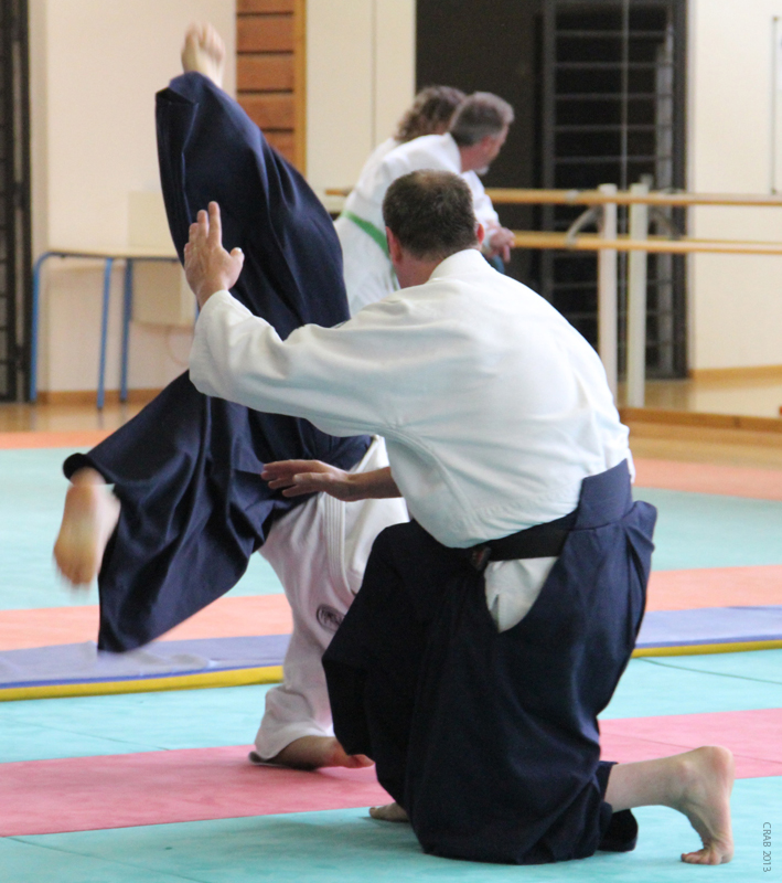 Dardilly_2013_06 (15)