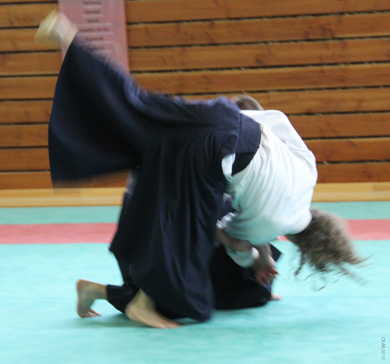 Dardilly_2013_06 (18)
