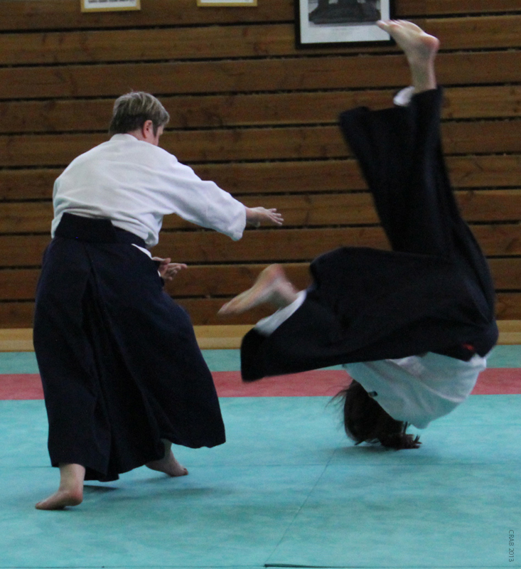 Dardilly_2013_06 (31)