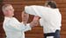Dardilly_2013_06 (01)