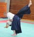 Dardilly_2013_06 (02)