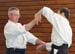 Dardilly_2013_06 (03)