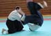 Dardilly_2013_06 (09)