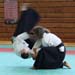 Dardilly_2013_06 (17)