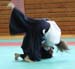 Dardilly_2013_06 (18)