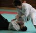 Dardilly_2013_06 (22)