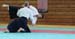 Dardilly_2013_06 (28)