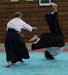 Dardilly_2013_06 (31)