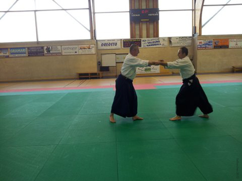 Crab_Sallanches_2012 (03)