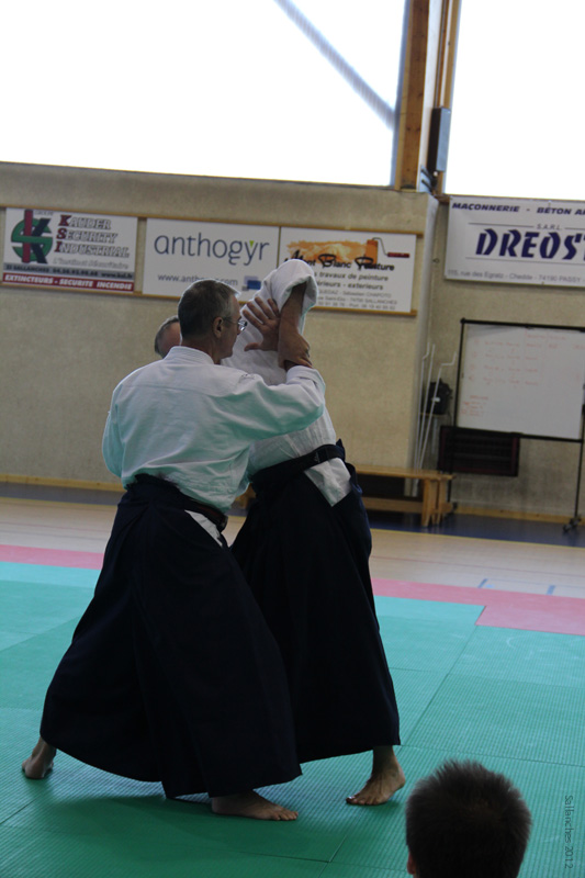 Crab_Sallanches_2012 (12)