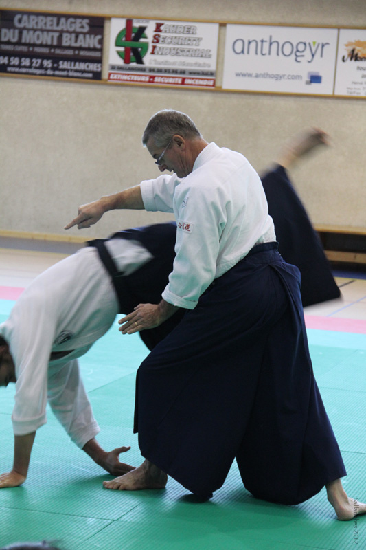 Crab_Sallanches_2012 (13)
