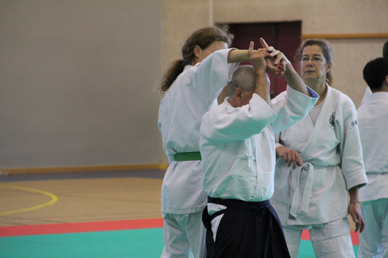 Crab_Sallanches_2012 (32)