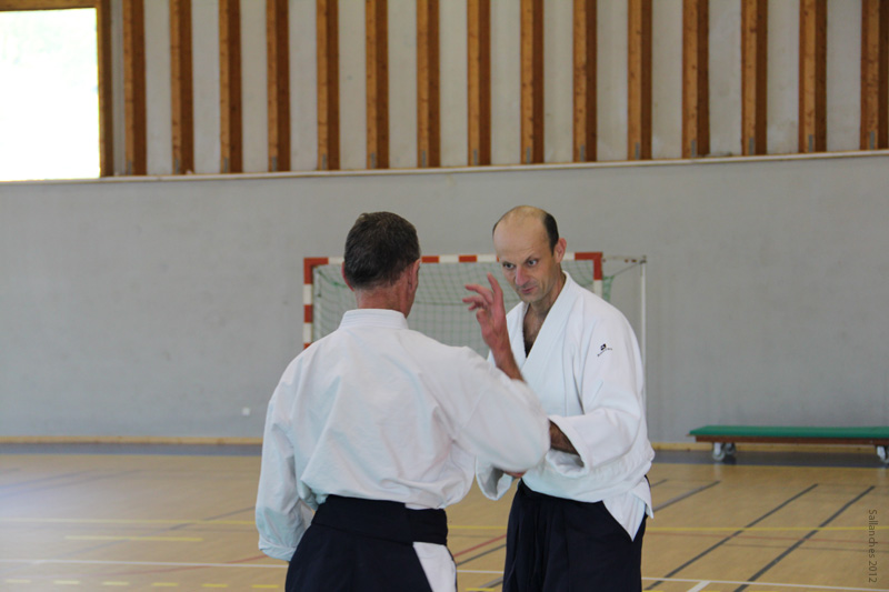 Crab_Sallanches_2012 (36)