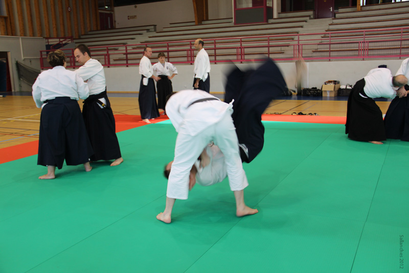 Crab_Sallanches_2012 (38)