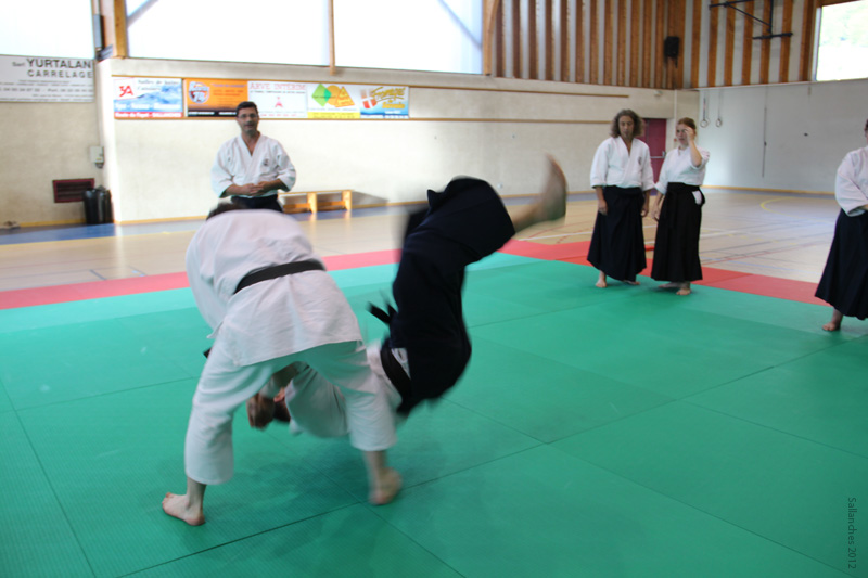 Crab_Sallanches_2012 (39)