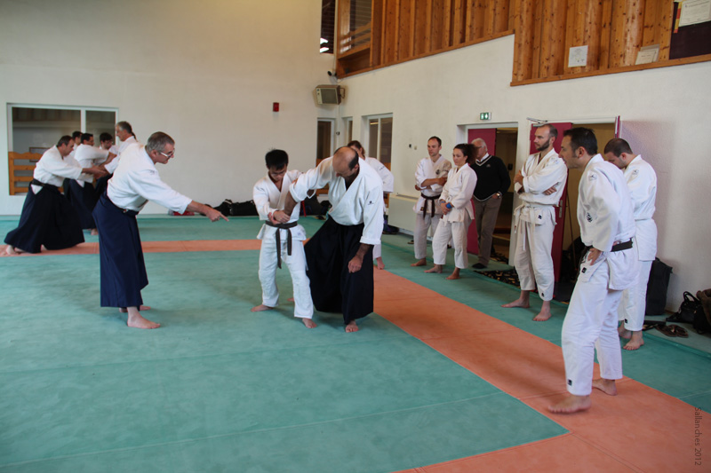 Crab_Sallanches_2012 (40)