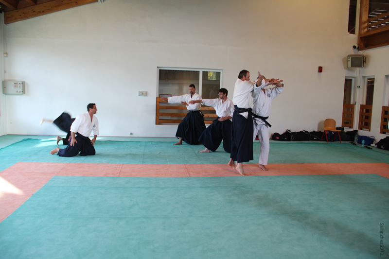 Crab_Sallanches_2012 (41)