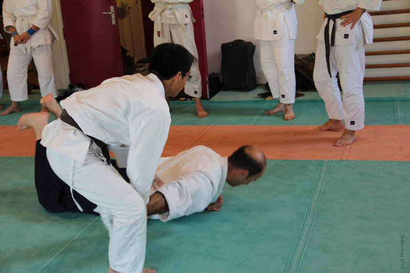 Crab_Sallanches_2012 (43)