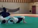 Crab_Sallanches_2012 (05)