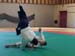Crab_Sallanches_2012 (06)